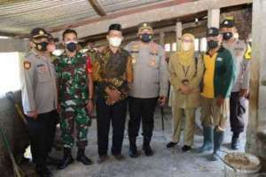 46 Ekor Sapi dan Kerbau Terjangkit PMK, Kapolres Demak Mengimbau Untuk Tidak Diperjualbelikan