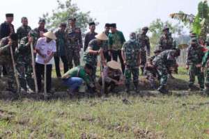 Dukung Ketahanan Pangan, Kodim 0725/Sragen Tanam Jagung