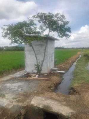 Aneh, Oknum Dinas Pertanian Kelola Proyek Swakelola