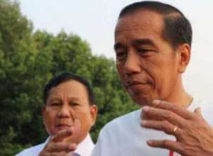 Sulit Atasi KKB, Presiden: Situasi di Papua tidak Semudah di Jakarta