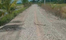 Diduga Terbengkalai, APH Diminta Usut Proyek Pengerasan jalan menggunakan agregat koral Desa Karang Baru.