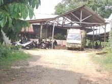 Kegiatan Pemotong Kayu Tanpa Izin di Desa Surodadi, Diduga Milik Kepala Desa 