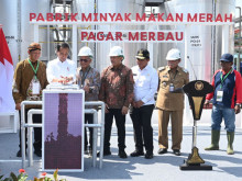 Kaya Vitamin A dan E, Presiden Resmikan Pabrik Percontohan Minyak Makan Merah Pertama di Indonesia