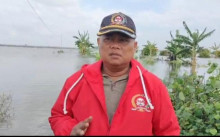 Banjir Demak, LAI Jateng: 50 Hektar Sawah Dipastikan Gagal Panen di Kedunguter