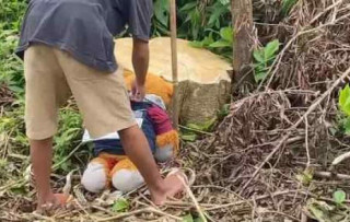 Peristiwa horor yang menimpa bocah di Sukabumi, Bupati: Itu salah kita