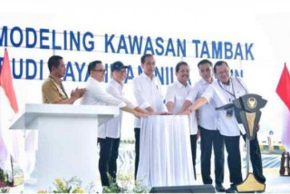 Presiden Jokowi resmikan model kawasan tambak budi daya ikan Nila Salin di Karawang