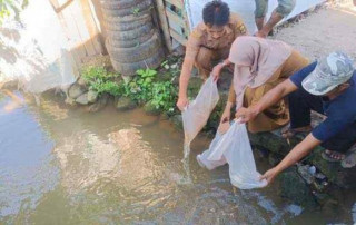 Lestarikan Sungai, Dinas Perikanan Kabupaten Sukabumi Tebar Ribuan Bibit Ikan di Citarik dan Pasirsuren