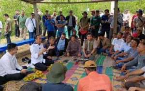 Berkunjung ke Karo, Jokowi Bantu Petani Jeruk Atasi Hama Lalat Buah