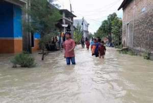 Banjir Rendam Demak dan Grobogan akibat Tanggul Sungai Tuntang Jebol