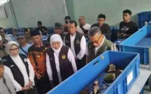 Khofifah Resmikan TPS3R, Sampah Desa Kini Jadi Peluang Cuan Baru