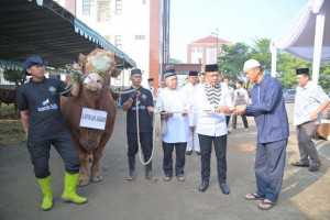 Kapolda Jabar Sumbangkan Dua Ekor Sapi Limosin untuk Pesantren, Penyandang Cacat dan Kaum Dhuafa di Hari Raya Idul Adha 1446 H.