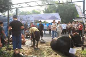 Kapolres Bogor AKBP Rio Wahyu Anggoro, S.H., S.I.K., M.H. Laksanakan Salat Idul Adha dan qurban Bersama Anggota Polres Bogor.