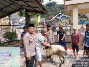 Idul Adha 1446 H, Polsek Nanggung Bagikan 100 Kantong Daging Kambing Kurban kepada Warga.