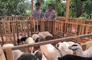Bhabinkamtibmas Polsek Citeureup monitoring peternak dalam program ketahanan pangan di Desa Puspasari.