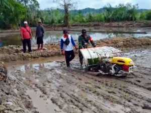 Babinsa Operasikan Transplanter Bantu Petani Tanam Padi di Kecamatan Tewah
