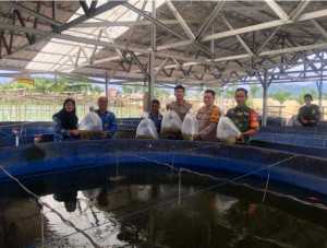 Dukung Program P2B, Dinas Perikanan Sukabumi Salurkan Ribuan Benih Ikan Nila ke Desa Kebonpedes