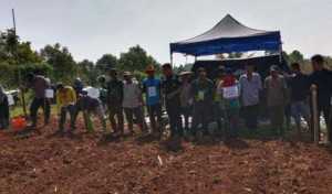 Polsek Jasinga Gelar Program Ketahanan Pangan Tanam Jagung di Desa Neglasari.