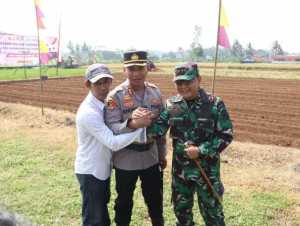 Dukung Program Asta Cita Bidang Pangan TNI-POLRI Tanam Jagung di Desa Kalimiru