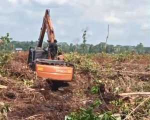 Pengerusakan Sawit Warga Kampung D.30 Bengkalis, Reno dan Firdaus Dituding Otak Pelaku.