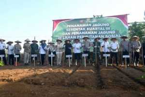 Ketua DPRD Kab. Sukabumi Hadiri Penanaman Jagung Serentak: Dorong Sukabumi Jadi Lumbung Pangan Nasional