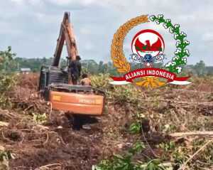 Fahmi Di Duga Penyedia Excavator Merusak Sawit Milik Warga Masyarakat Kampung D.30 Lembaga Aliansi Indonesia Akan Segera Membongkar Kasus Tersebut Sampai Selesai.