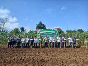 Polsek Caringin Polres Bogor Gelar Penanaman Jagung pipih Dukung Program Swasembada Pangan.