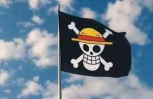 Kibarkan Bendera One Piece Bukan Makar dan Tidak Bisa Dipidanakan