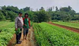 Bhabinkamtibmas Desa Mekarsari Sambangi Warga, Ajak Jaga Kamtibmas dan Ketahanan Pangan