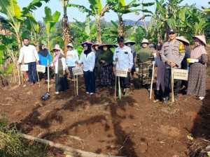 Polsek Caringin Polres Bogor Gelar Penanaman Jagung pipih Dukung Program Swasembada Pangan