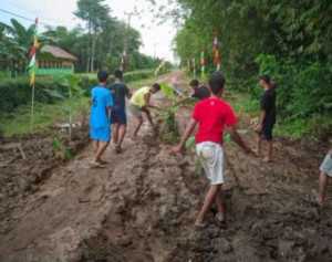 Protes Jalan Rusak, Warga Desa Nusa Makmur Tanam Pohon Pisang di Tengah Jalan