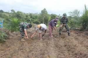 Wujudkan Ketahanan Pangan, Satgas TMMD Tanam Jagung