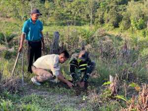 Satgas TMMD Bersama Mahasiswa IPB Dan Masyarakat Tanam Pohon Produktif
