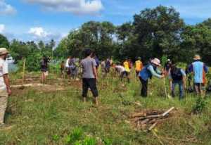 PEMKAB. Sukabumi Tanam 1.000 Bibit Mangrove di Mandrajaya, Perkuat Ekosistem Pesisir dan Ekonomi Nelayan