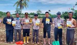 Polsek Rumpin Bersama Warga Mekarsari Tanam Jagung Hibrida Dukung Ketahanan Pangan Nasional