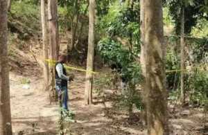 Seorang Polisi Tewas di Kebun, Polda NTB: Akibat Benda Tumpul
