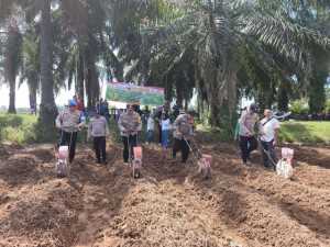 Polsek Semendawai Suku III Laksanakan Giat  Tanam Jagung Serentak Kuartel Ke IV