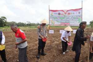 Polres Purworejo Gelar Tanam Raya Jagung Serentak Kuartal IV, Wujud Dukung Program Ketahanan Pangan Nasional