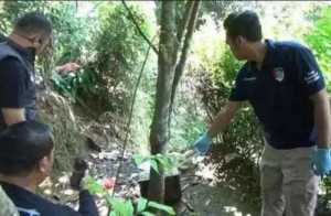 Kasus Pembunuhan Dina Oktaviani, Pelaku Buang Jenazah Dibantu 2 Teman