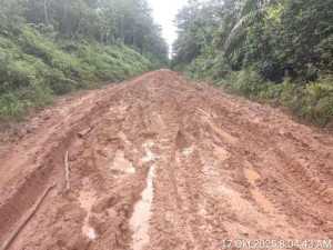 Jalan Penghubung Kecamatan Tungkal Ilir Rusak Parah, Warga Keluhkan Tak Kunjung Diperbaiki