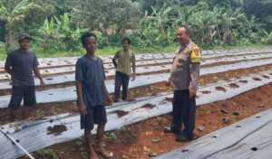 Bhabinkamtibmas Polsek Rumpin Polres Bogor Sambang Warga, Sampaikan Himbauan Kamtibmas Saat Monitoring Kelompok Tani 