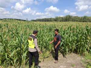 Dukung Asta Cita Presiden Prabowo, Polsek SS III Sambangi Tanaman Warga