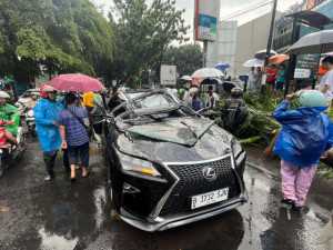 Mobil mewah tertimpa pohon di Pondok Indah, pengemudi tewas di tempat