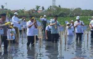 Kembalikan fungsi lahan, Wapres Gibran tanam Mangrove di Tangerang