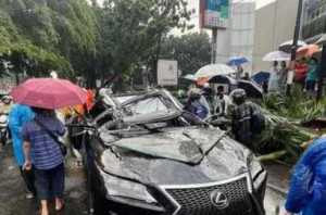 Pengemudi mobil mewah yang tewas tertimpa pohon ternyata mantan bos Danareksa, ini profil singkatnya