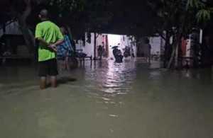 Hujan deras dan tanggul jebol di Pati, 800 rumah warga terendam banjir