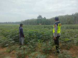 Polsek Semendawai Suku III Komitmen Sukseskan Program Ketahanan Pangan