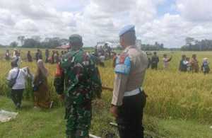 Bhabinkamtibmas Polsek Semendawai Suku III Monitoring Tanaman Petani