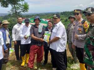 Polsek Caringin Polres Bogor Gencar Lakukan Penanaman Jagung Hybrida Dukung Program Nasional Swasembada Pangan