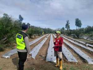 Ajak Warga Maksimalkan Lahan tidur, Polsek Semendawai Suku III Siap Wujudkan Program Ketahanan Pangan