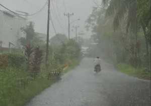 Akan panjang, BMKG: Puncak musim hujan berlangsung tiga bulan